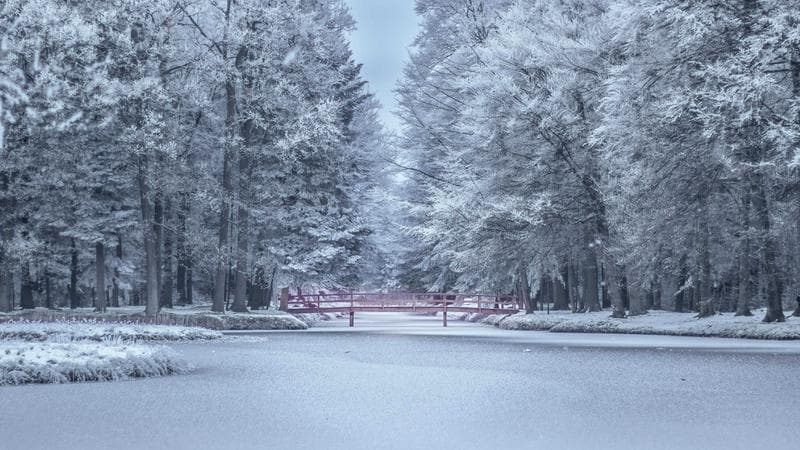 Winter
